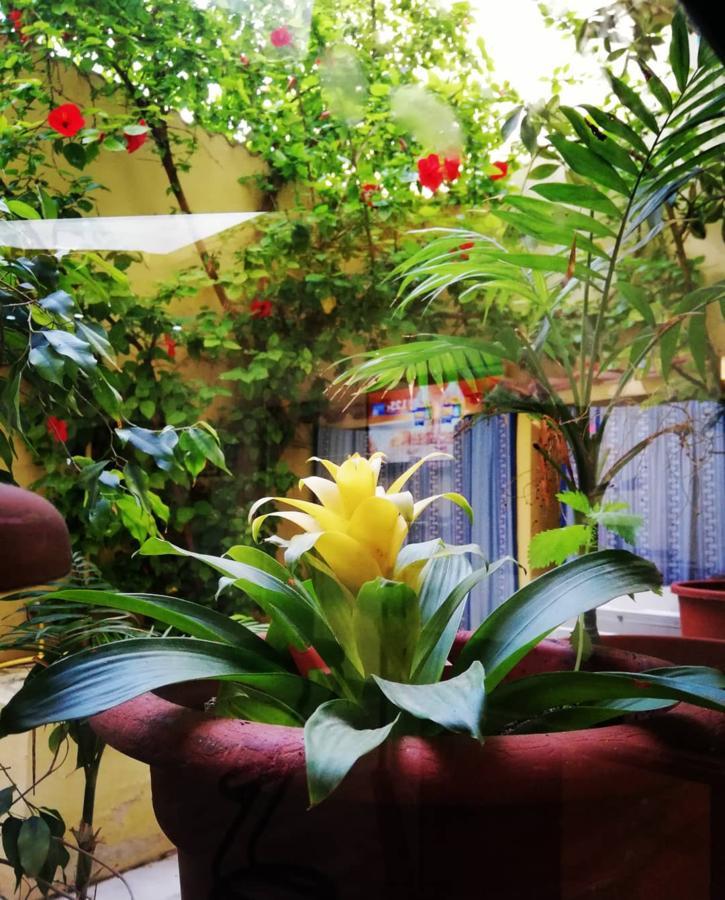 Hotel Le Pelagie Лампедуза Экстерьер фото